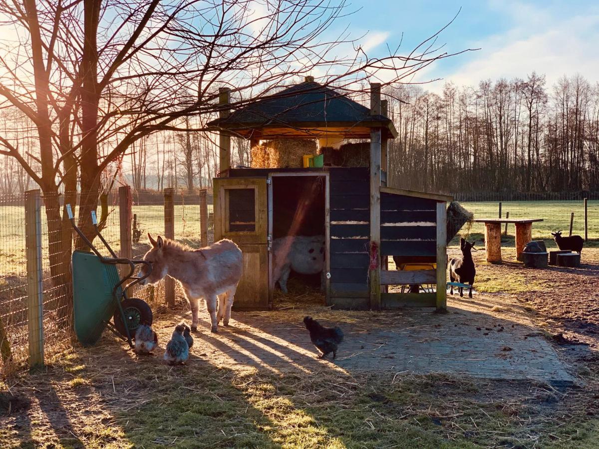 Camping Vossenberg - Op De Veluwe! Эпе Экстерьер фото